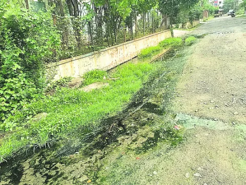 పారిశ