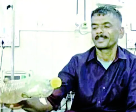 కాటేస