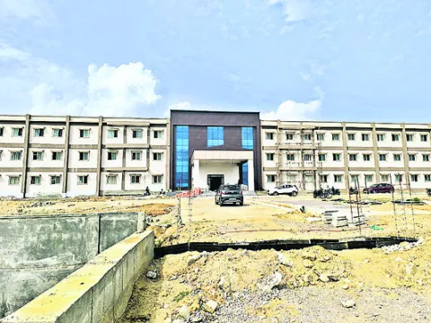 పిల్ల