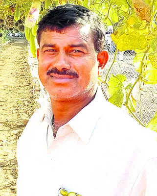 పెట్ట