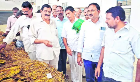 లోగ్రేడ్‌ పొగాకును ప్రభుత్వమే కొనాలి 