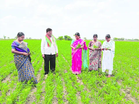 అభ్యుదయ రైతు శేషారావును ఆదర్శంగా తీసుకోవాలి 