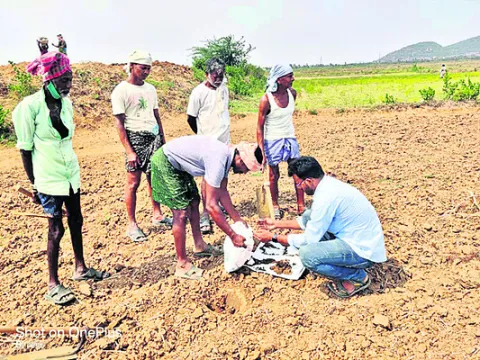 నేలకు