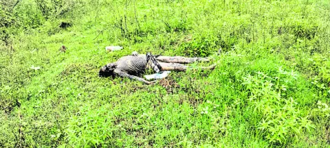 రిక్షా కార్మికుడి మృతదేహం లభ్యం 