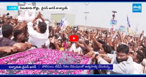 Grand Welcome To YS Jagan Mohan Reddy In Sattenapalli  1