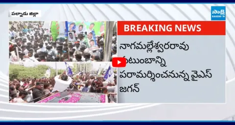 YS Jagan Mohan Reddy Fan Following At Palnadu  4