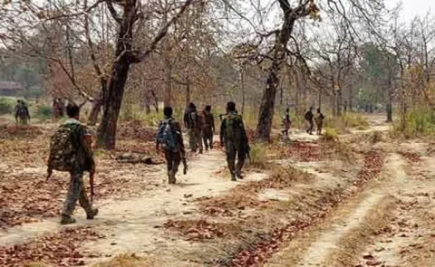 Three Maoists Death in Andhra Pradesh Exchange of fire