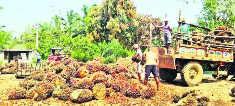లాభాల