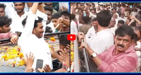 Perni Nani Visuals At YS Jagan Palnadu Tour 2