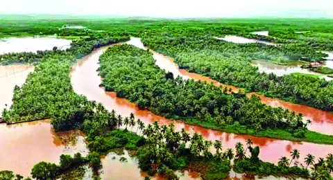 నదులు