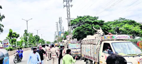12 ట్