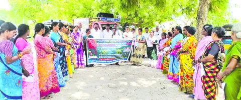 కలెక్