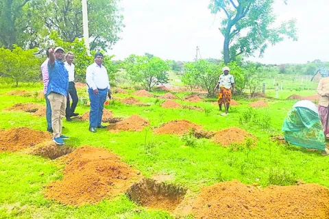 పారిశుద్ధ్యంపై దృష్టిసారించండి 