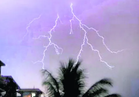 పాటించాల్సిన జాగ్రత్తలు 
