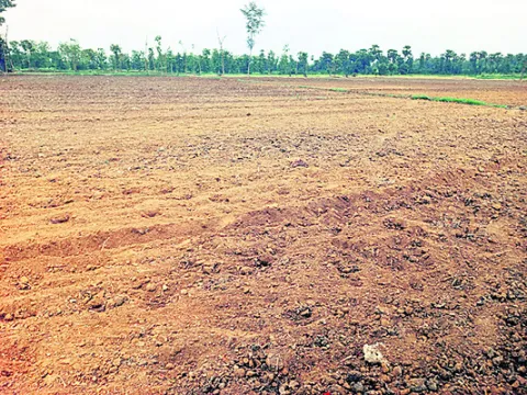 యథేచ్ఛగా గ్రావెల్‌ రవాణా