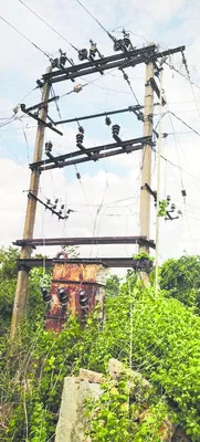 ట్రాన్స్‌ఫార్మర్‌ను కప్పేసిన చెట్లు