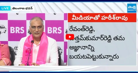 Harish Rao Funny Comments on CM Revanth Puli Bidda Dialogue 3