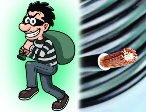 ఇంటి దొంగ గుట్టురట్టు 