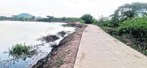 సాగుక