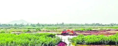 మట్టి
