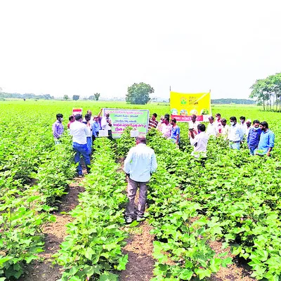 అధిక 