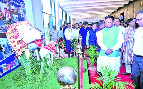 అగ్రస