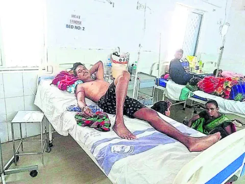 జొరిపంగలో మలేరియా విజృంభణ 