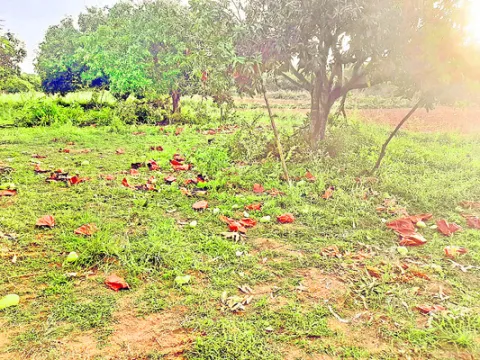 ఆగని గజరాజుల దాడులు