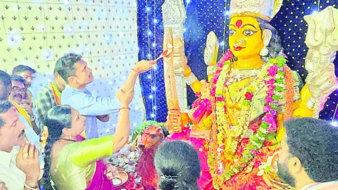 ఇప్పల