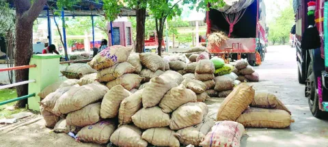 పడిపో