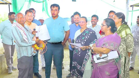 కోడెలను జాగ్రత్తగా చూసుకోవాలి