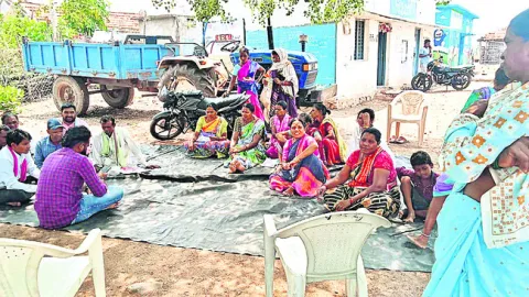 విత్తనంపై అప్రమత్తం! 