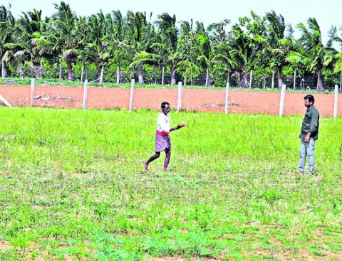 టెంకాయపై భారం వేసి.. 
