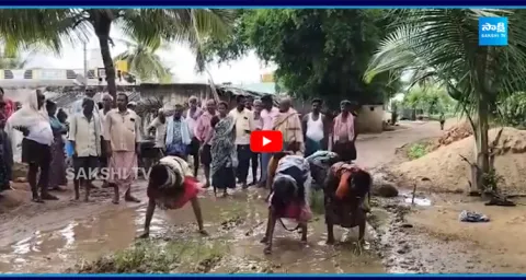 Villagers Plant Paddy Crops on Road at Sathya Sai District  1
