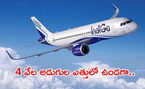 IndiGo Flight Suffers Bird Hit At 4,000 Feet6