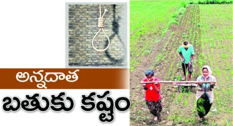 హావేర