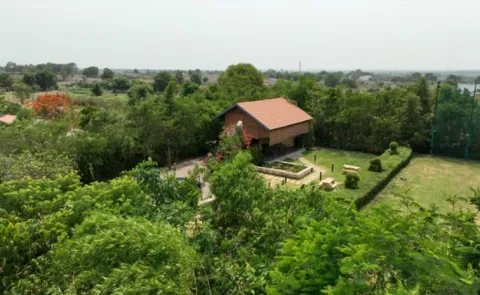 Stonecraft Group Expands Woods Shamshabad Strengthening the Largest Miyawaki Forest