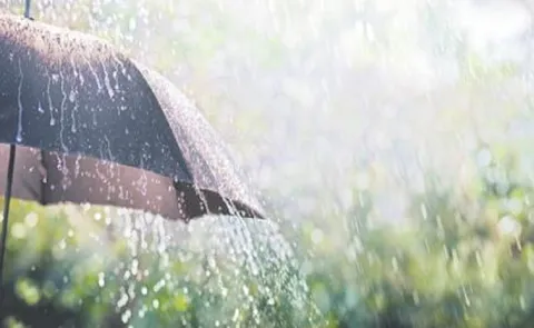 Sakshi Editorial On Summer rains and Environmental scientists