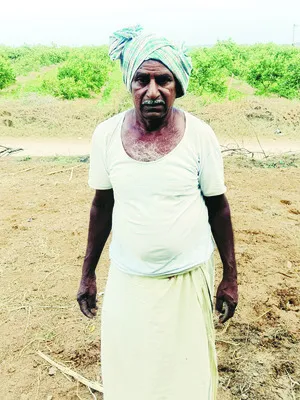 భూమి బీడుగా మారుతుంది 