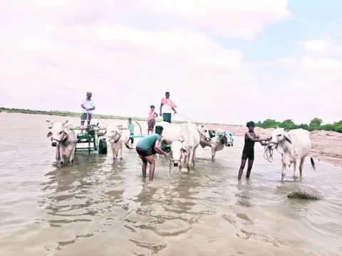 మురిసిన పెద్దధన్వాడ 
