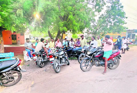 అడవి 