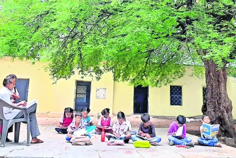 అడవి 