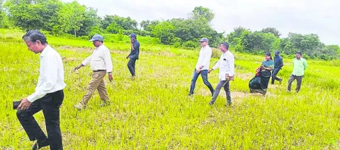 పారిశ