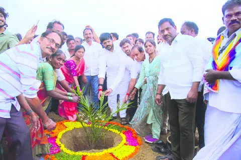 ఆయిల్‌పామ్‌ సాగుతో లాభాలు