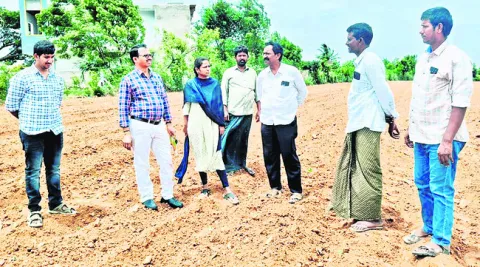 ఆధునిక విధానాలతో  లాభసాటిగా సాగు
