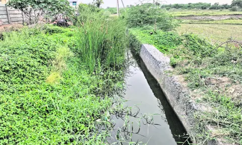 అధ్వా