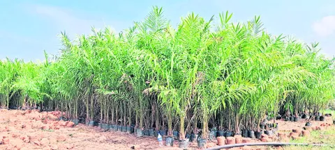 మానవ తప్పిదమేనా!?