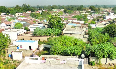 పల్లెపోరు కలిసొచ్చేనా..