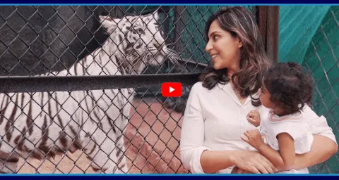 Ram Charan AndUpasana Konidela Celebrate Daughter Klin Kaaras 2nd Birthday 6