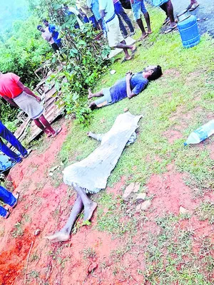 ఘాట్‌ రోడ్డులో వ్యాన్‌ బోల్తా 
